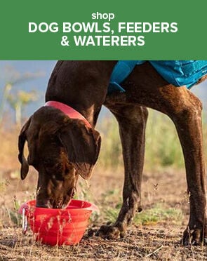 Dog Bowls, Feeders & Waterers